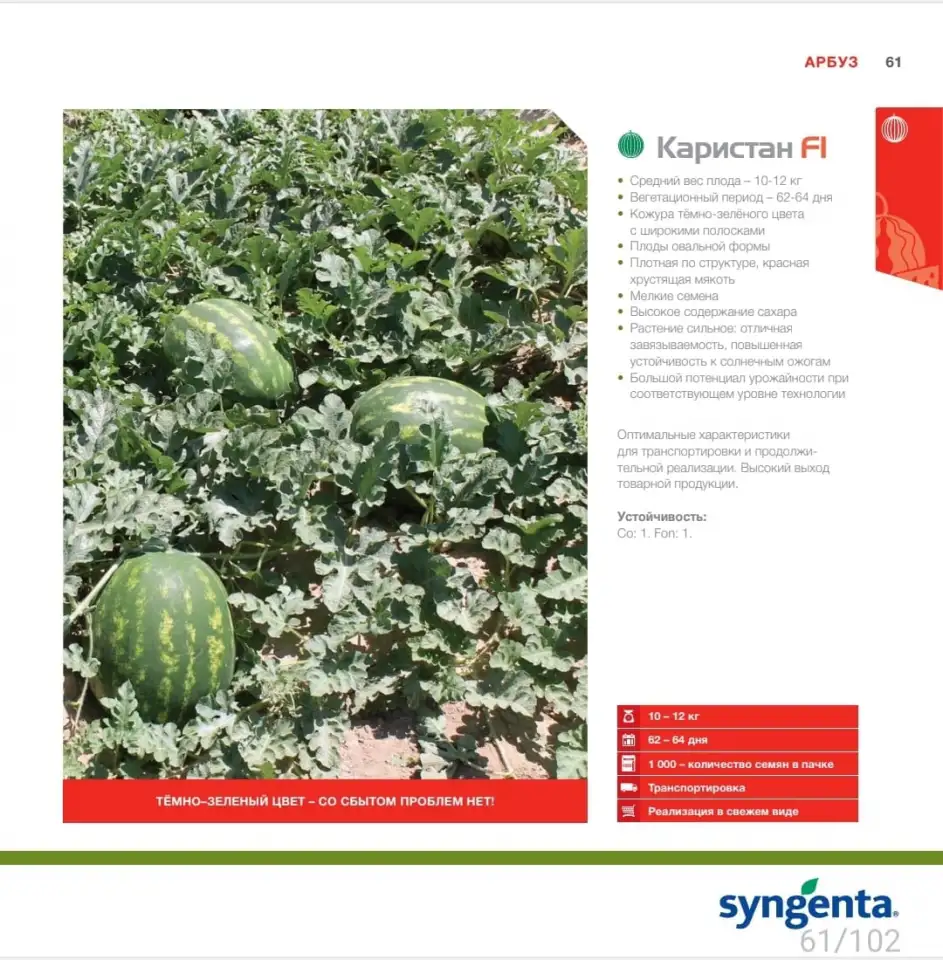 Продаем семена арбуза, фотография 9