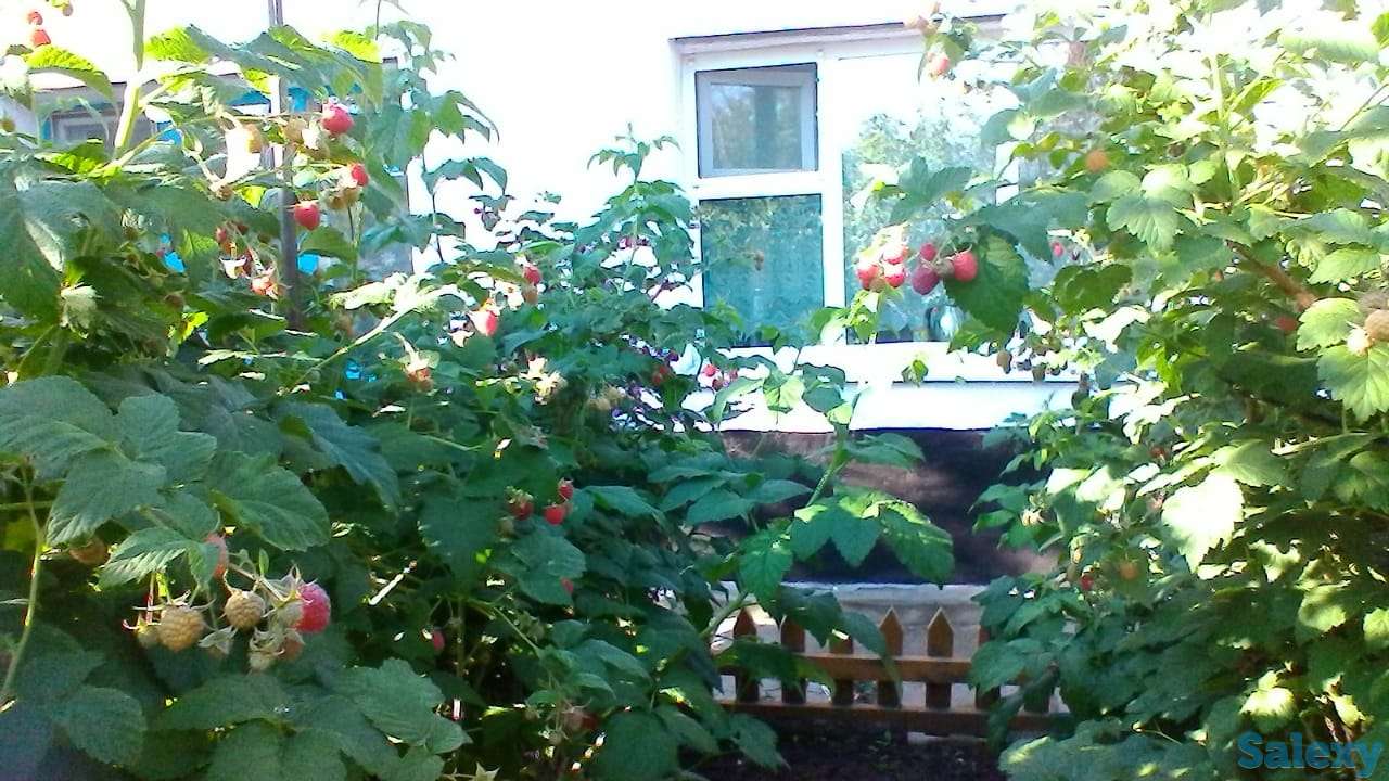 Продается дом пос. Первомайский, фотография 4