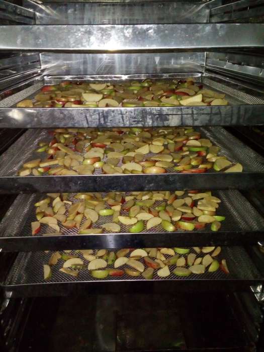 Сушильный шкаф камера С-3Км (на 220в) для мяса, овощей и пр., фотография 6