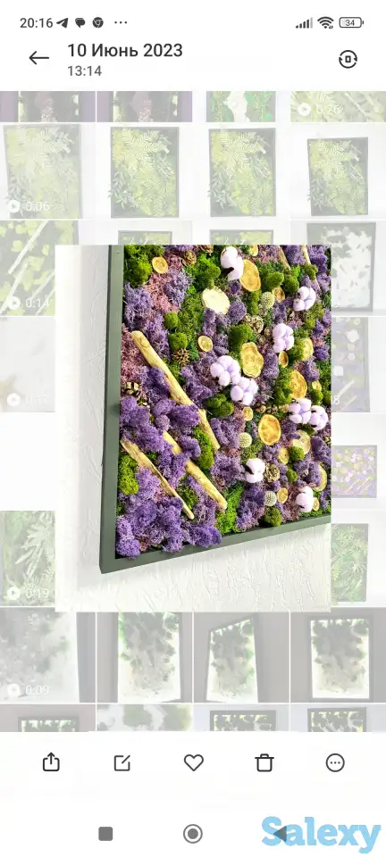 Картины из стабилизированного мха, фотография 3