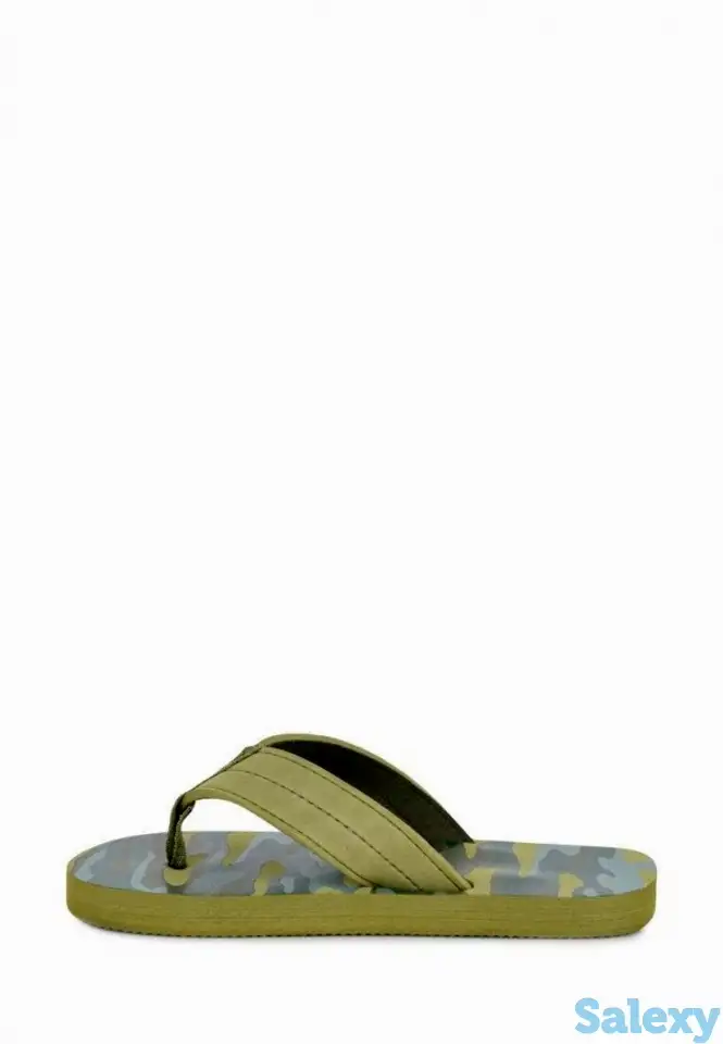 Сланцы t.taccardi, фотография 2