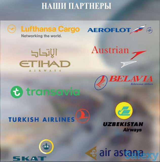 AIR FREIGHT – организация перевозки вашего груза авиатранспортом, фотография 4