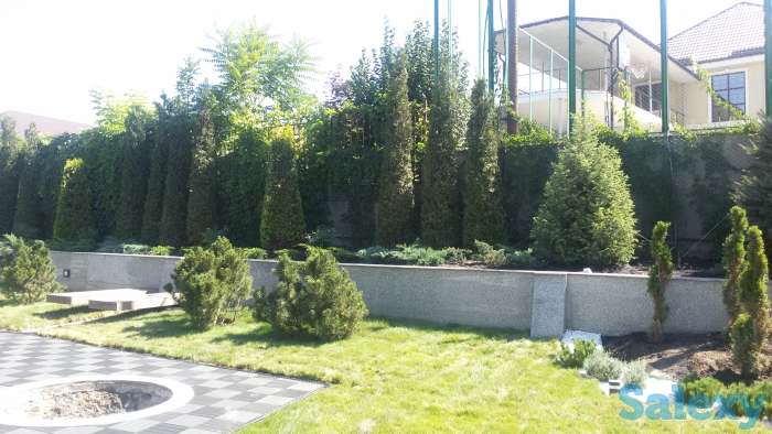 Профессиональный ландшафтный дизайн в Алматы!, фотография 6