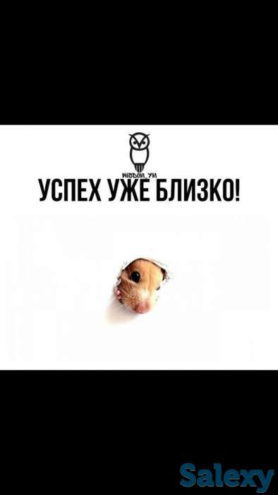 Продукция Forever, фотография 1