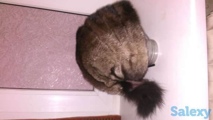 Новая норковая шапка, фотография 1