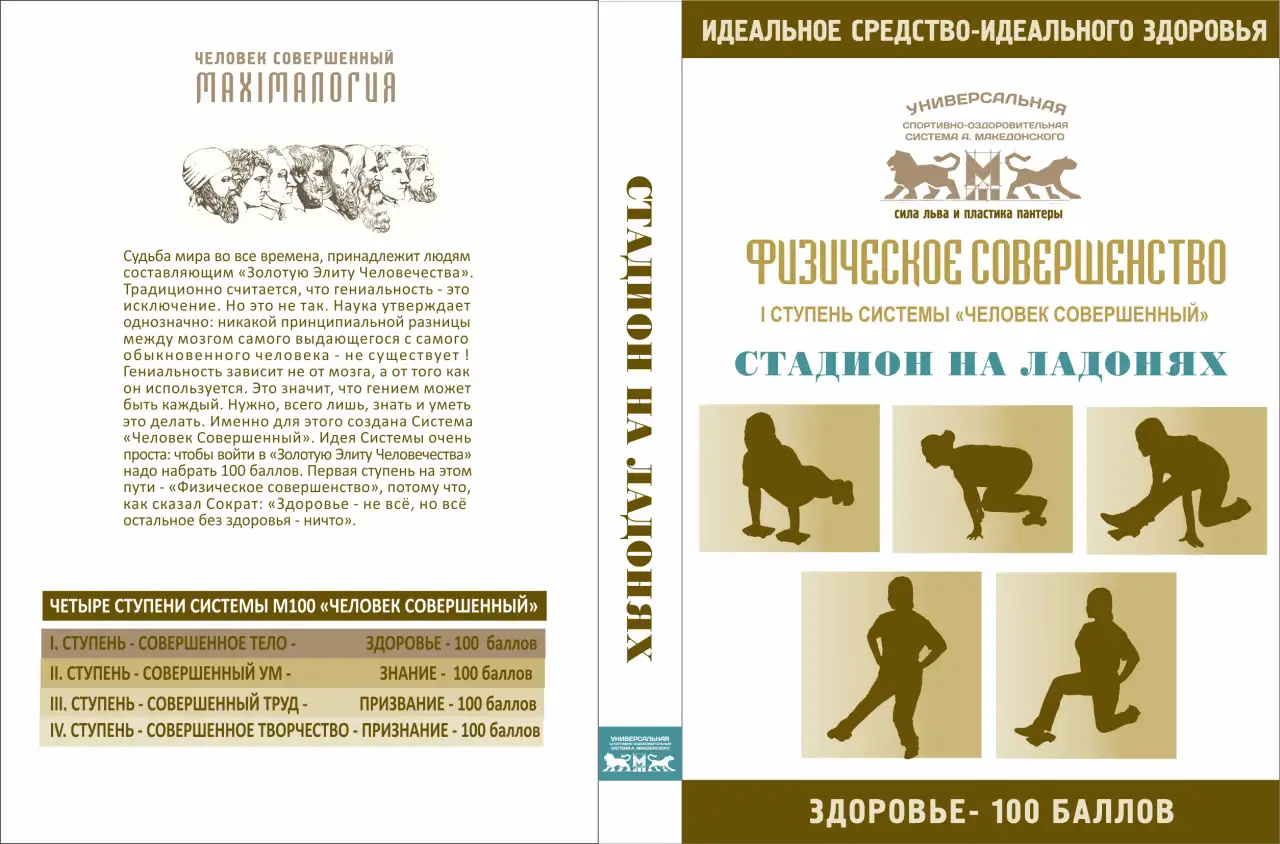Универсальный спортивно-оздоровительный тренажёр Стадион на ладони, фотография 2
