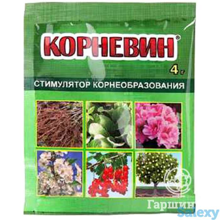 Корневин 4г, фотография 1