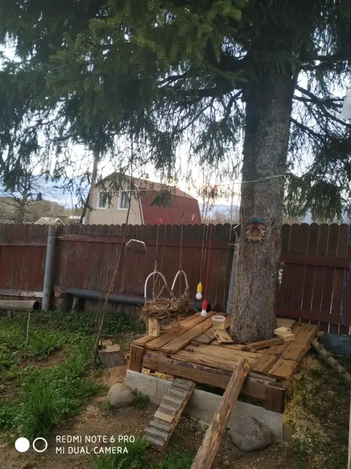 Добротный дом в 2 часах от Питера, Псковская обл,пос.гор.типа Струги Красные, фотография 6