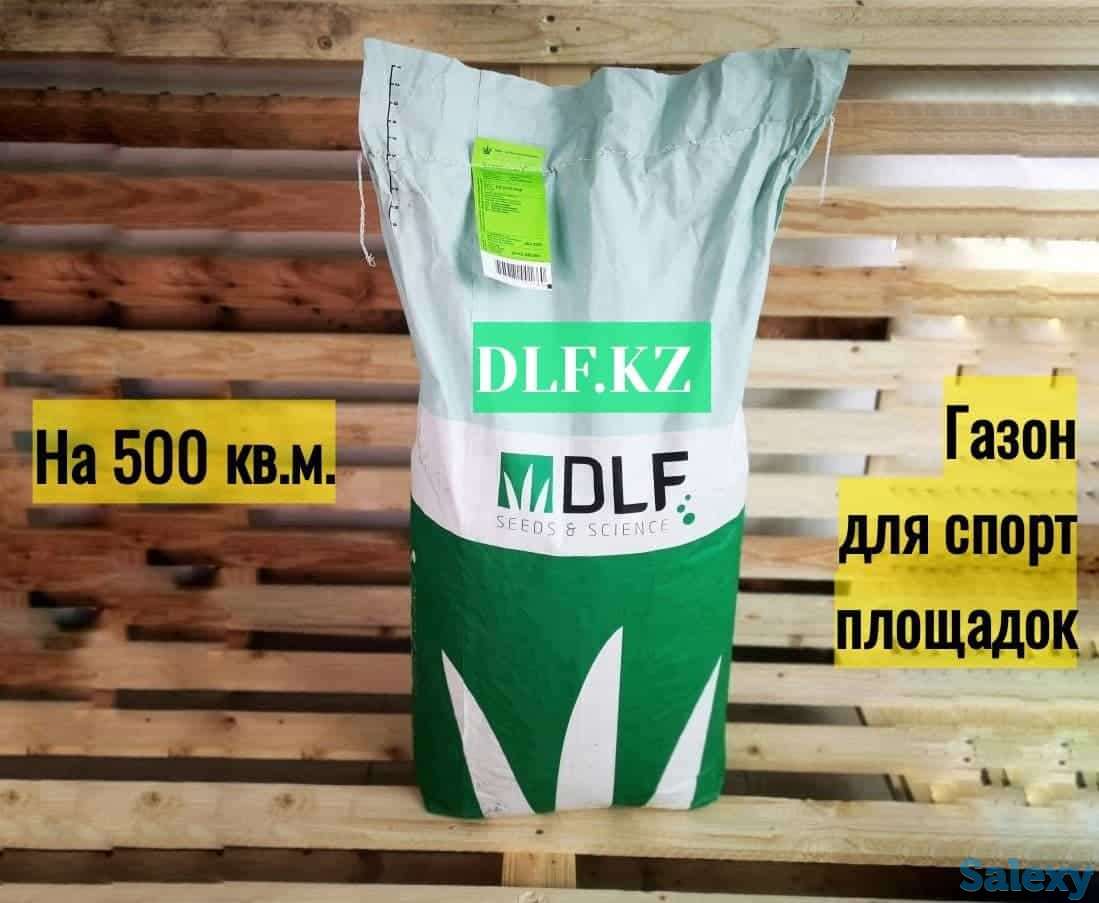 Спортивный газон Dlf Trifolium, фотография 1