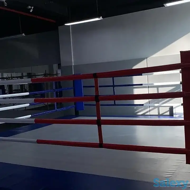 Тренер мма бокс, фотография 9