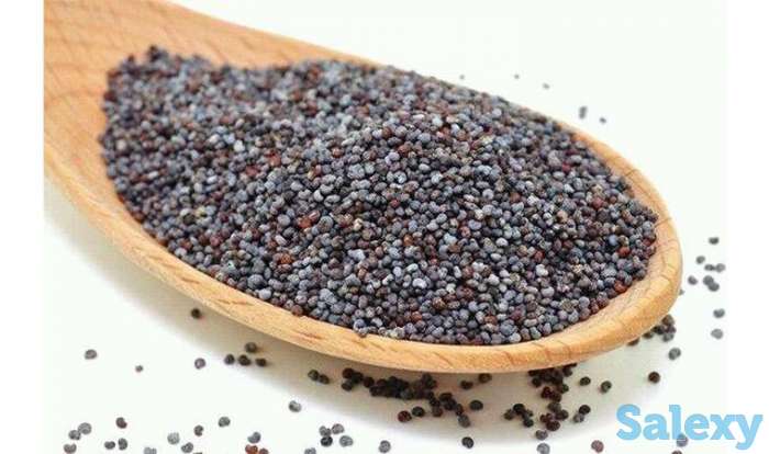 Мак кондитерский голубой, фотография 1