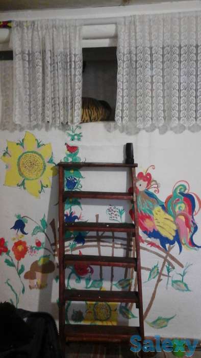 зимний дом в красивейшем месте новгородской области, фотография 4