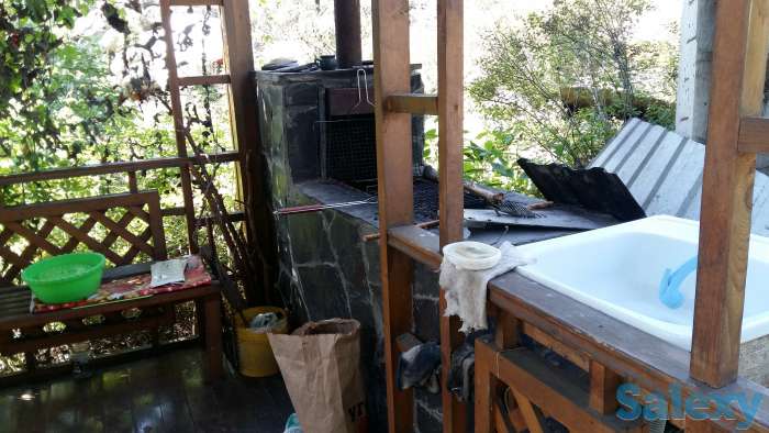 Дом в Бухтарме, п.Новая Бухтарма, Б/О Лесная (Айна), фотография 5