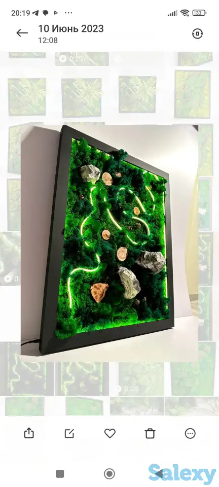 Картина из стабилизированного мха, фотография 4