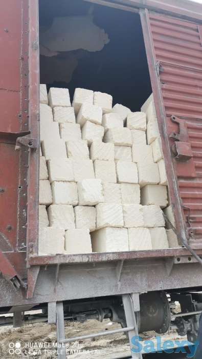 Ракушеблок, фотография 1