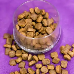 Комбикорм для щенков 2-х месяцев, фотография 2