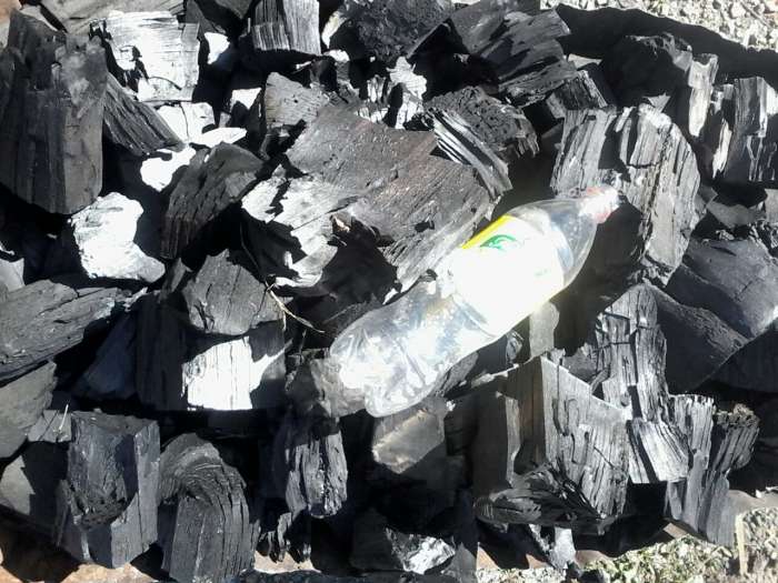 Уголь древесный березовый, фотография 4