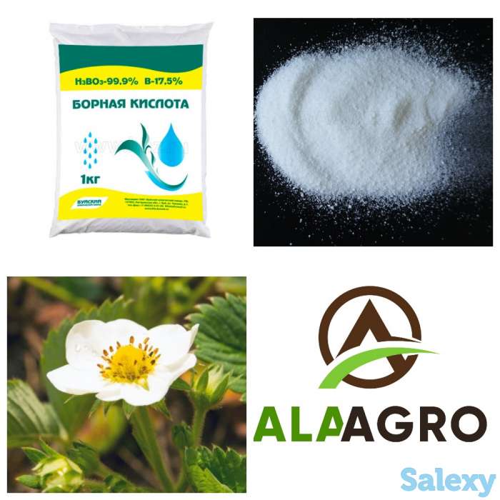 Борная кислота, фотография 1