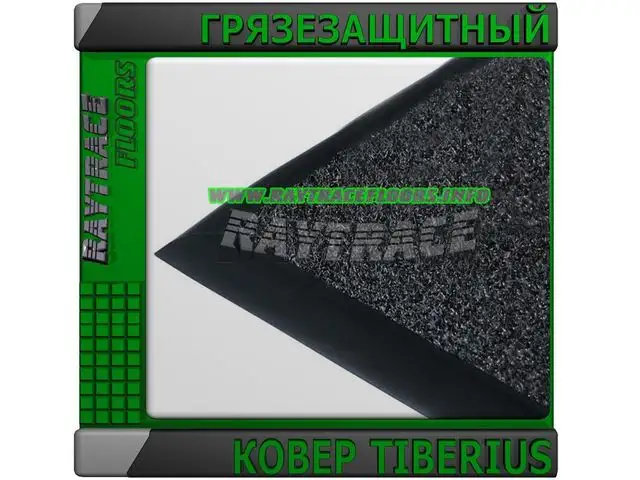 Антискользящее грязезащитное ковровое покрытие TIBERIUS, фотография 1