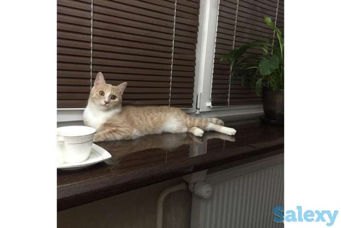 подоконники ДАНКЕ премиум класса в Оренбурге, фотография 9