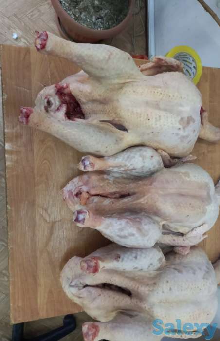 Мясо индейки (индейка, индюк), фотография 1