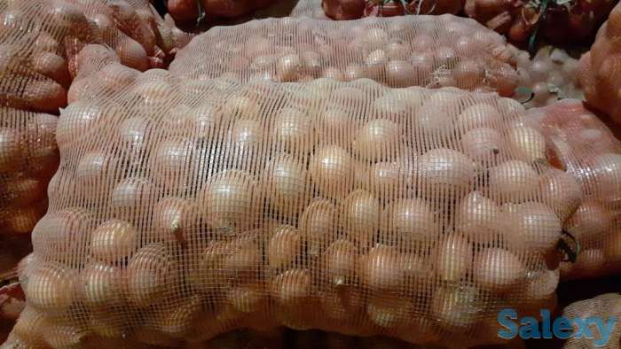 Продажа репчатого лука в больших объемах, урожай 2019 года, сортов «бурса- F1» и «братко F1», фотография 2