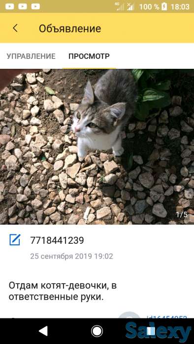 В добрые руки, фотография 2