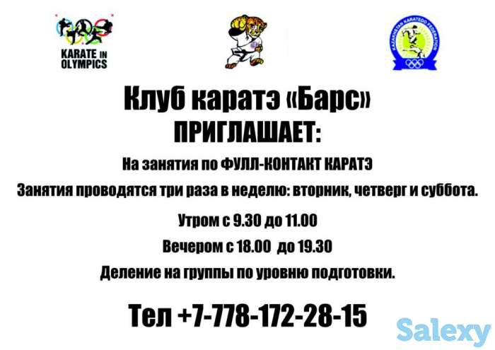 каратэ фулл контакт, фотография 1