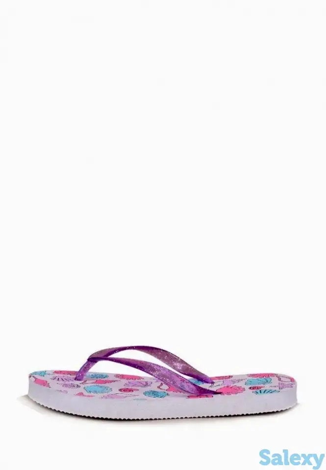 Сланцы t.taccardi, фотография 2