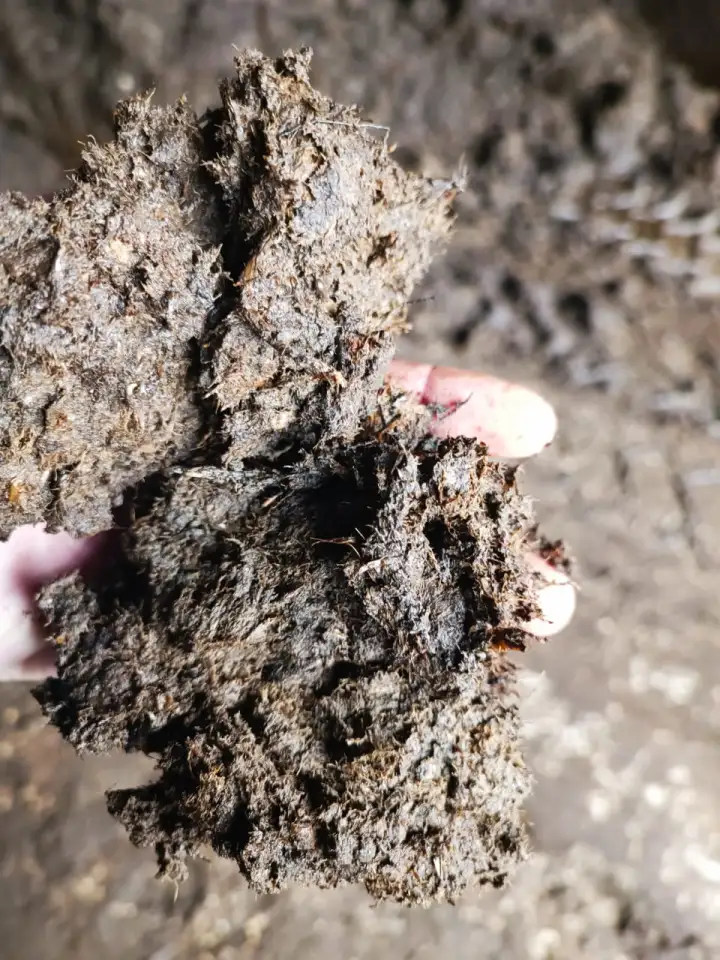 Покровная почва для шампиньонов, фотография 3