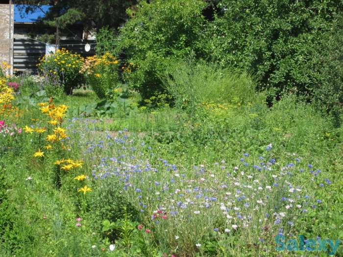 Дом, с.Сосновый Бор Клановая 16, фотография 10