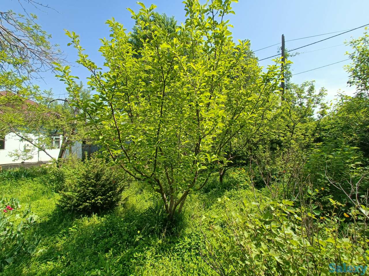 Продам участок под бизнес, Медеуский район, возле Центрального парка культуры и отдыха, фотография 6