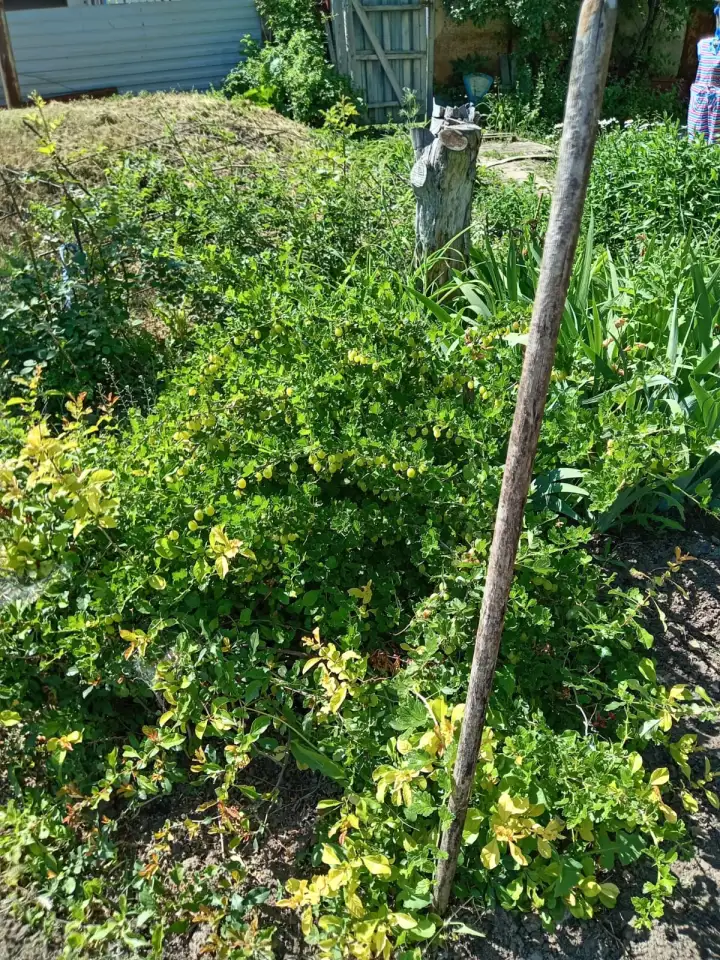 ПРОДАМ ДОМ В ДАЧНОМ КООПЕРАТИВЕ ТАМАРИКС зимний вариант, фотография 7