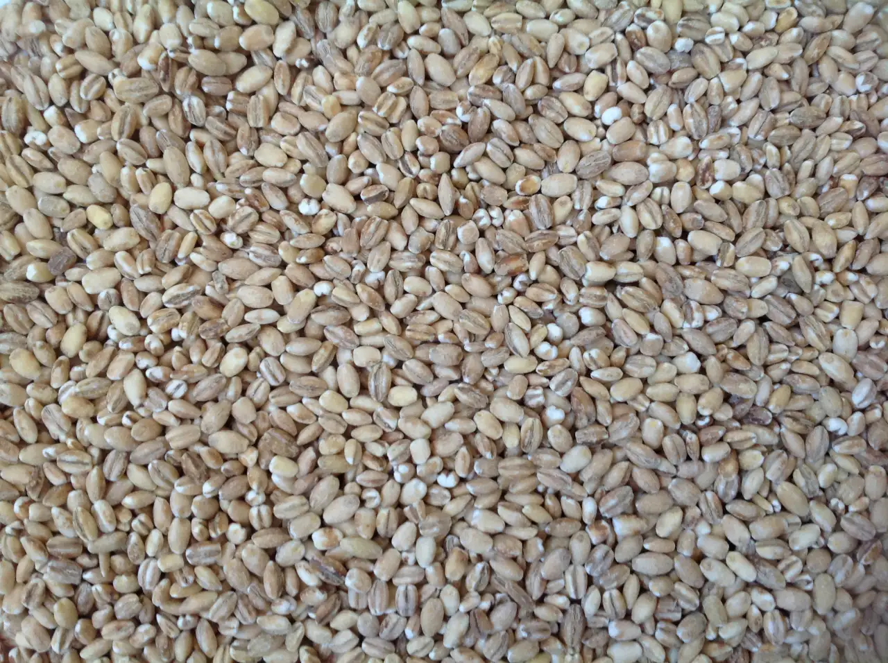 Крупа перловая, фотография 1