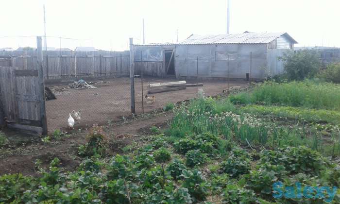 Продам два дома, фотография 2