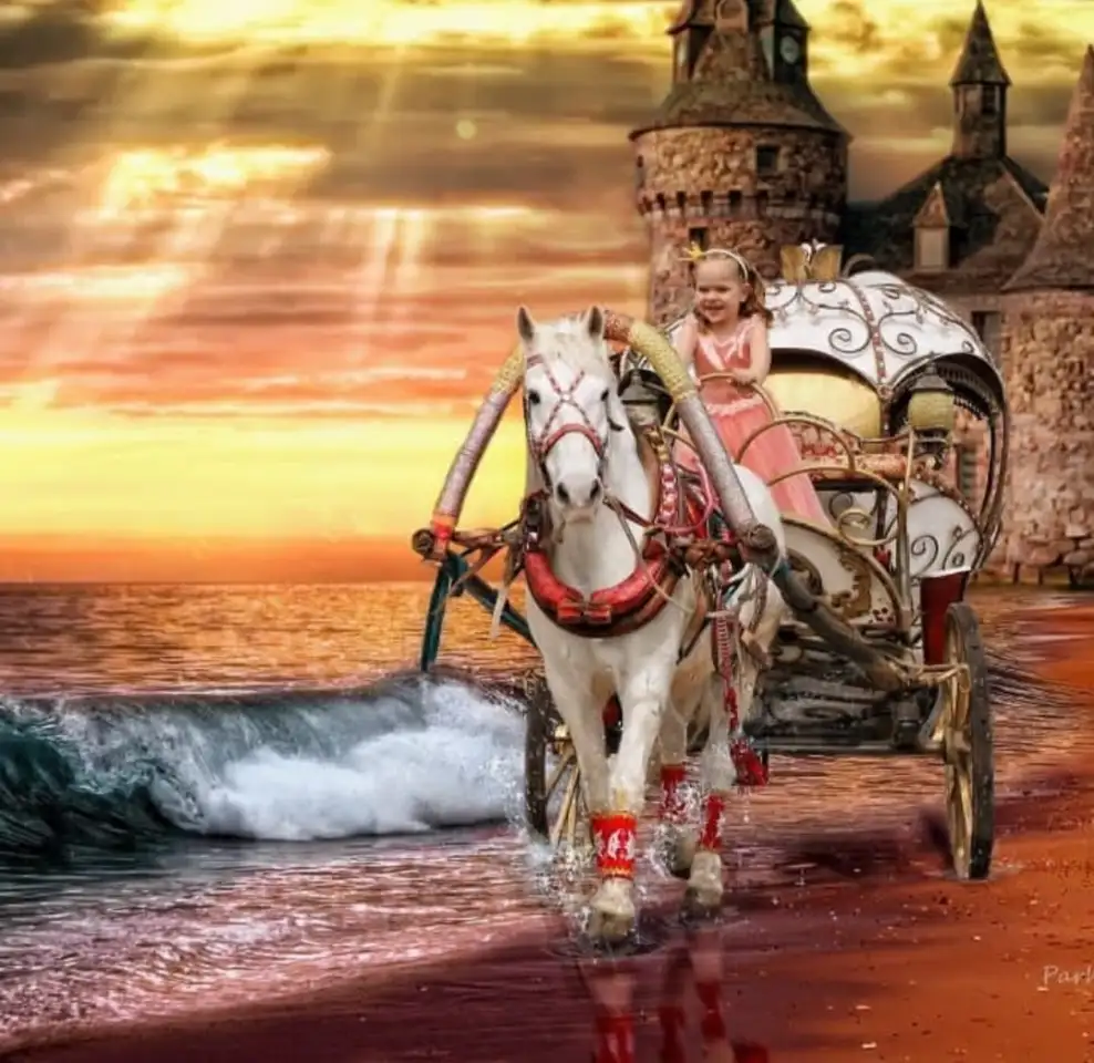 аренда кареты, фотография 2