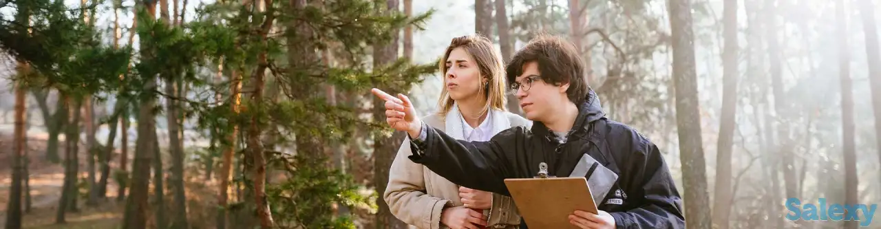 Лесопатологическое обследование и инвентаризация зелёных насаждений. Акт зеленых насаждений, фотография 1