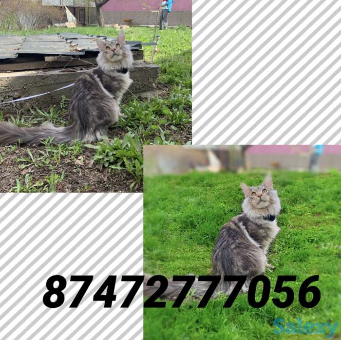 Услуги Photoshop, Фотошоп, ретушь. Дорисовка не дорого, фотография 1