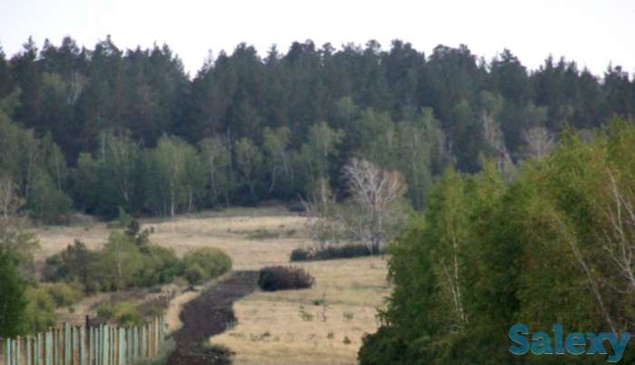 Продается земельный участок рядом с сосновым лесом г. Щучинск, фотография 1