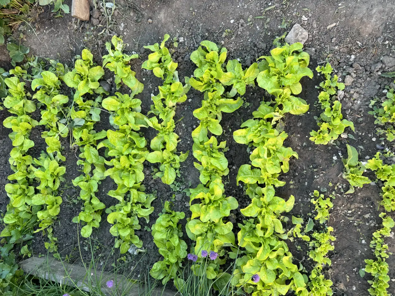 Продажи или меняю  дом, фотография 9