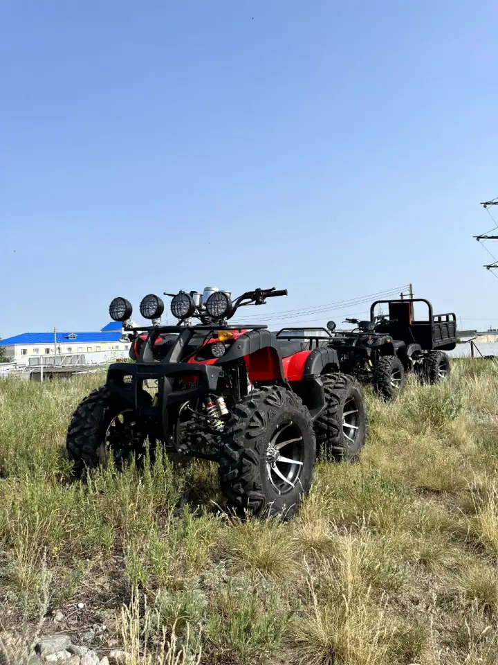 Квадроцикл 250сс на кардане, фотография 4