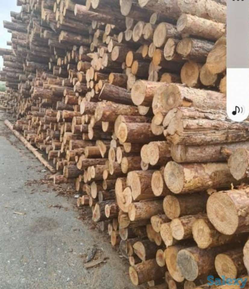 Доска Обрезная Необрезная, фотография 5