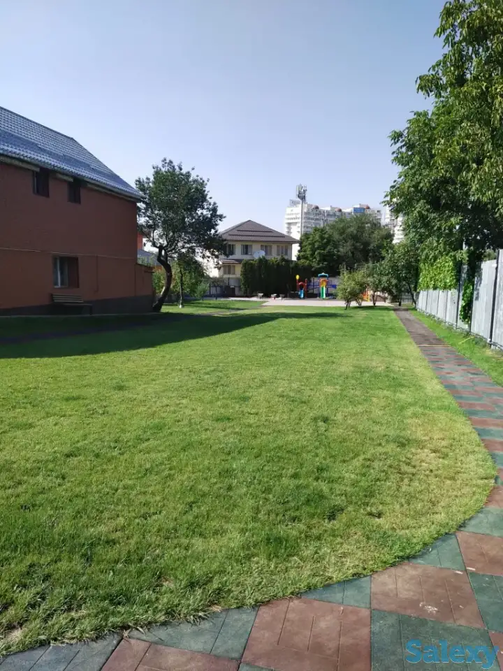 Ландшафтные работы. Озеленение., фотография 4