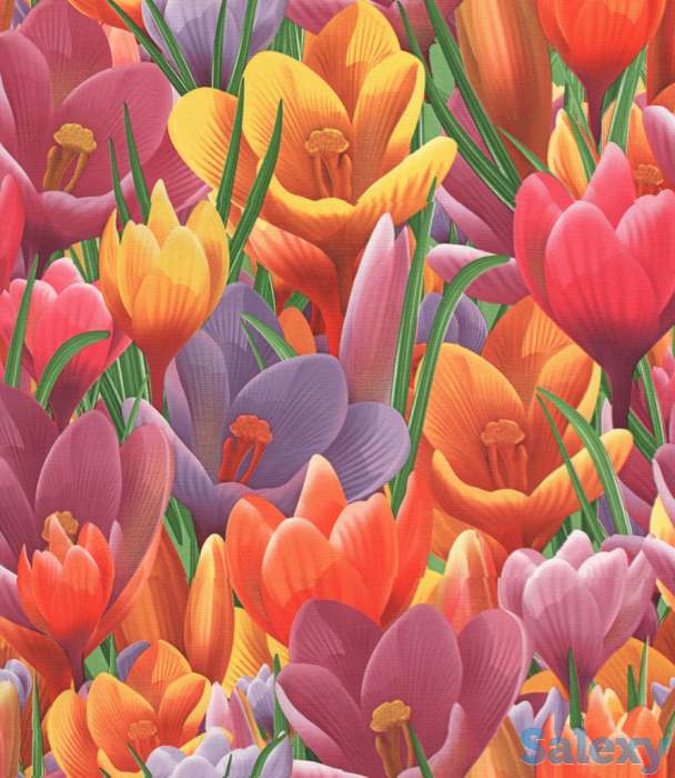 Обои., фотография 4