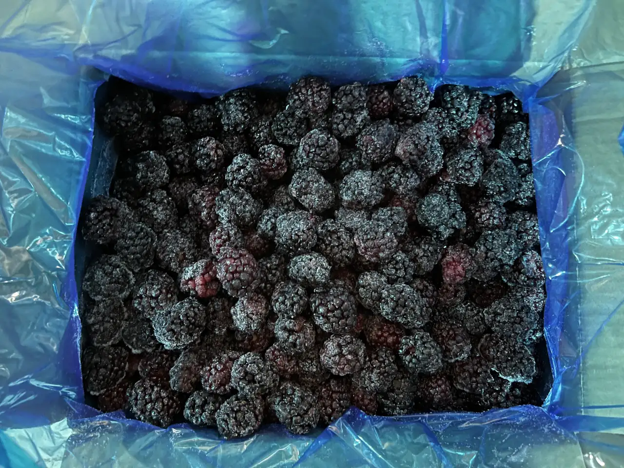 Замороженные смеси и ягоды оптомрозницу, фотография 3