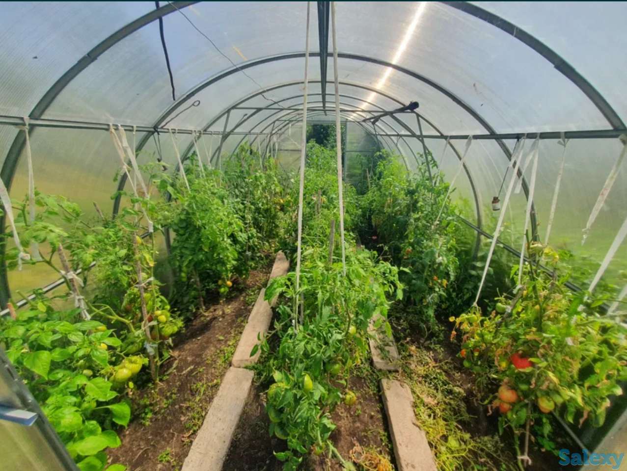 Продам Дача участок Федоровское водохранилище, 6 соток, Фёдоровка., фотография 3