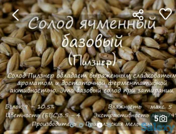 Солод, фотография 2