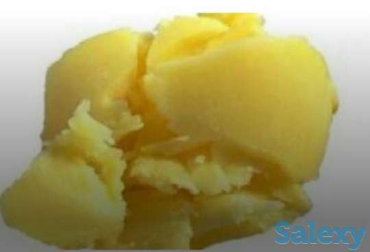 Продаётся мясо конина из Тараза, фотография 4