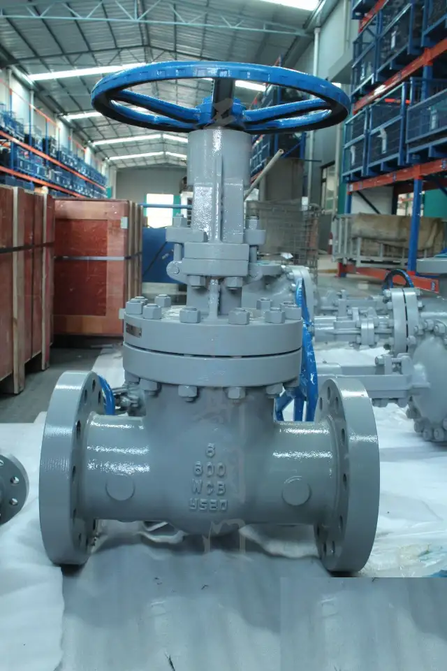 Задвижки клиновые ASME API  Gate valves ASME, фотография 2