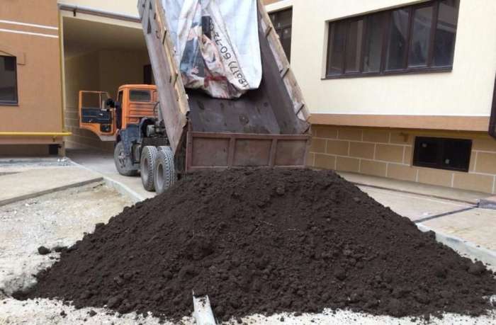 Чернозём горный , фотография 1